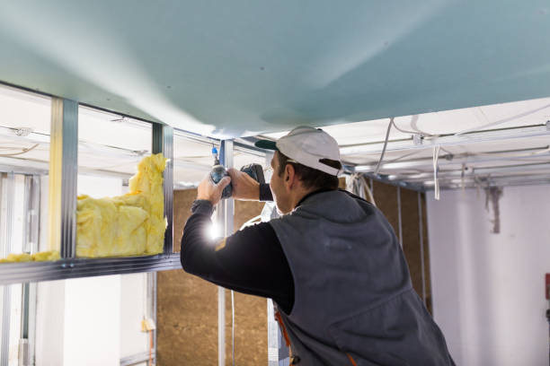 Best Eco-Friendly or Green Insulation Solutions  in Kdeer, IL